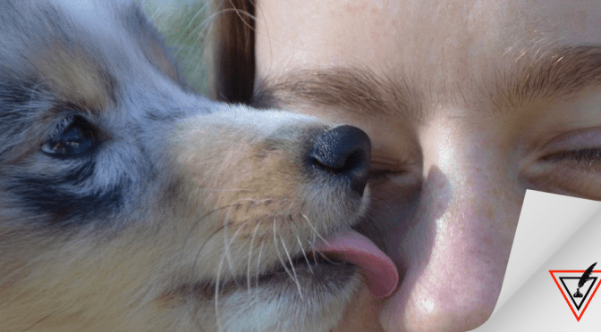 Besar a tu mascota podría causarte cáncer