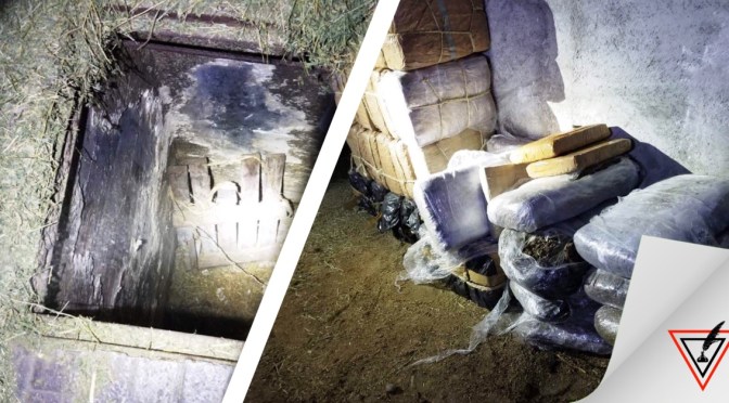 Asegura SSP 200 Kg de marihuana en Miguel Alemán