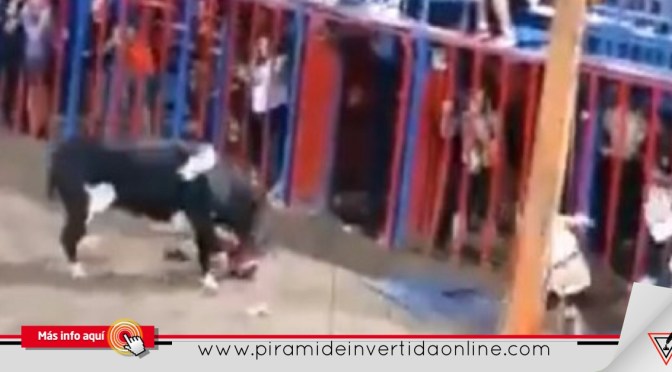 (Video)Niño cayó al ruedo y el toro lo embistió