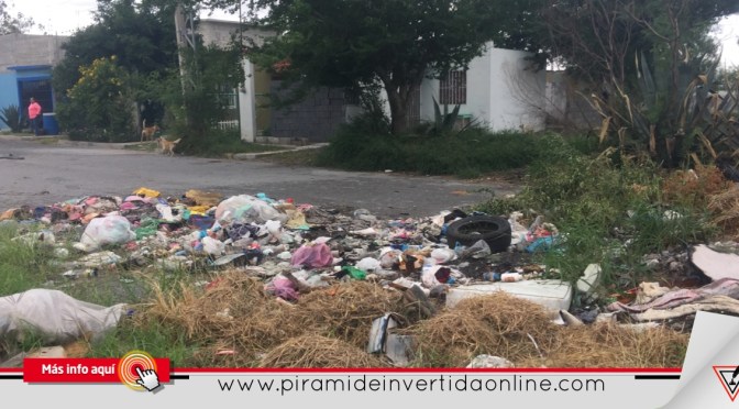 Ineficiente servicio de recolección de basura en Matamoros