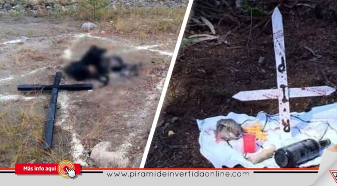 Encuentran bebé de 8 meses muerto en ritual satánico