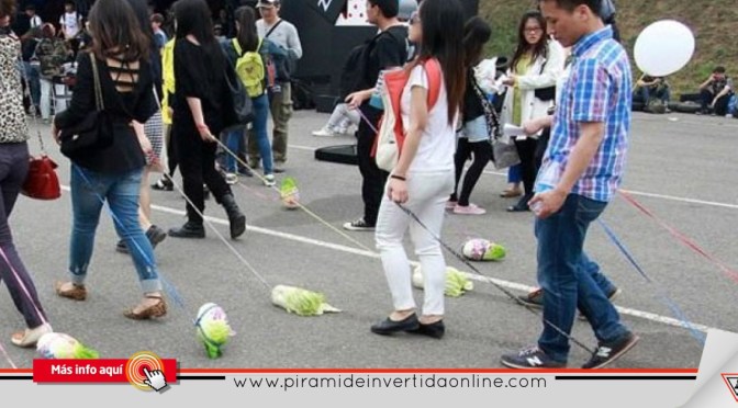 Nueva moda de veganos; pasear lechugas, no perros