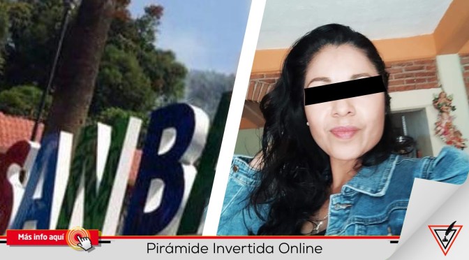 Roban terreno a persona de la tercera edad en San Bartolo Tutotepec, Hidalgo